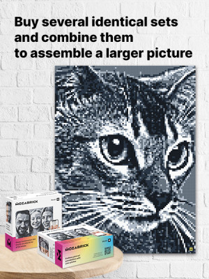 Model M