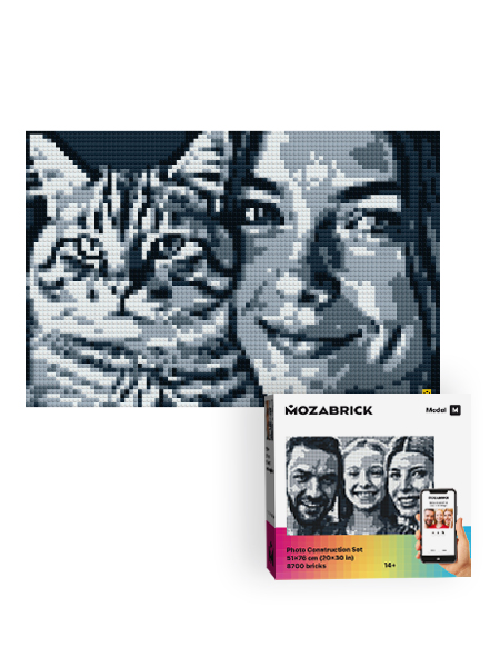 MOZABRICK★どれでも写真モザイク映画★　富山県在庫！ピックセルアート！ Amazon.com: MOZABRICK Color M Custom Photo Mosaic Building Set